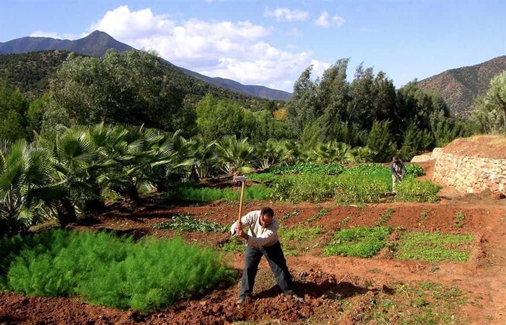 Domaine Malika Hotel Moulay Brahim Eksteriør billede